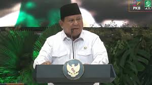 Pengampunan Presiden & Revisi UU TNI 2025: Uji Demokrasi dan Konsolidasi Kekuasaan